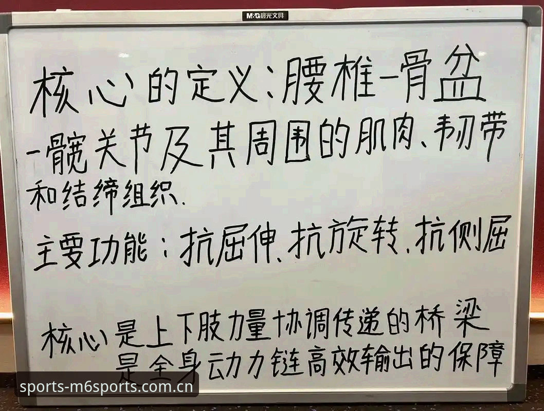 老用户亲测分享：M6体育无缝衔接体验与实战心得